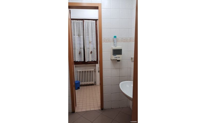 /api/file/public/215851/7534