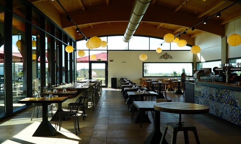 /api/file/public/220701/7741