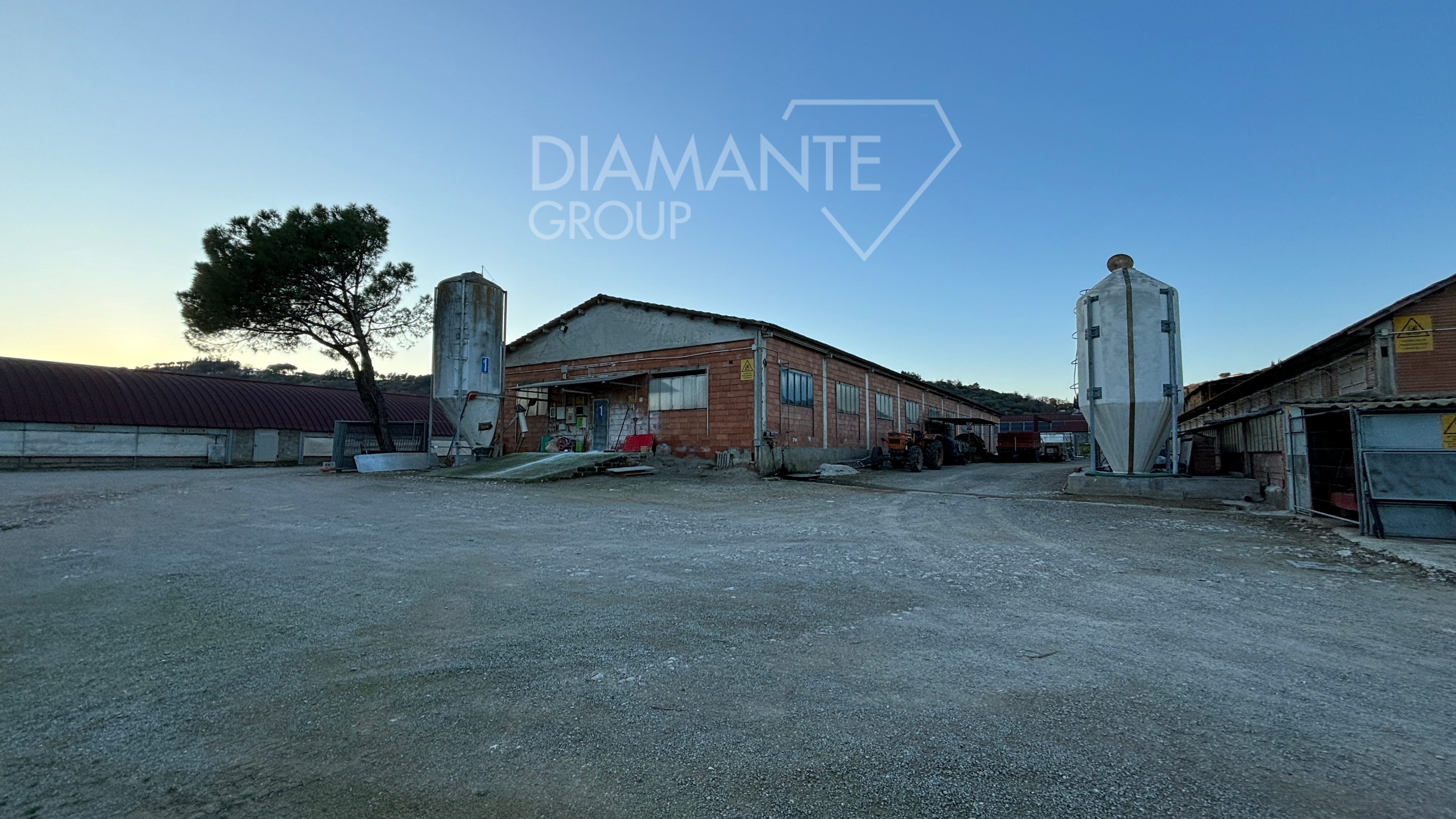 /api/file/public/259971/28903