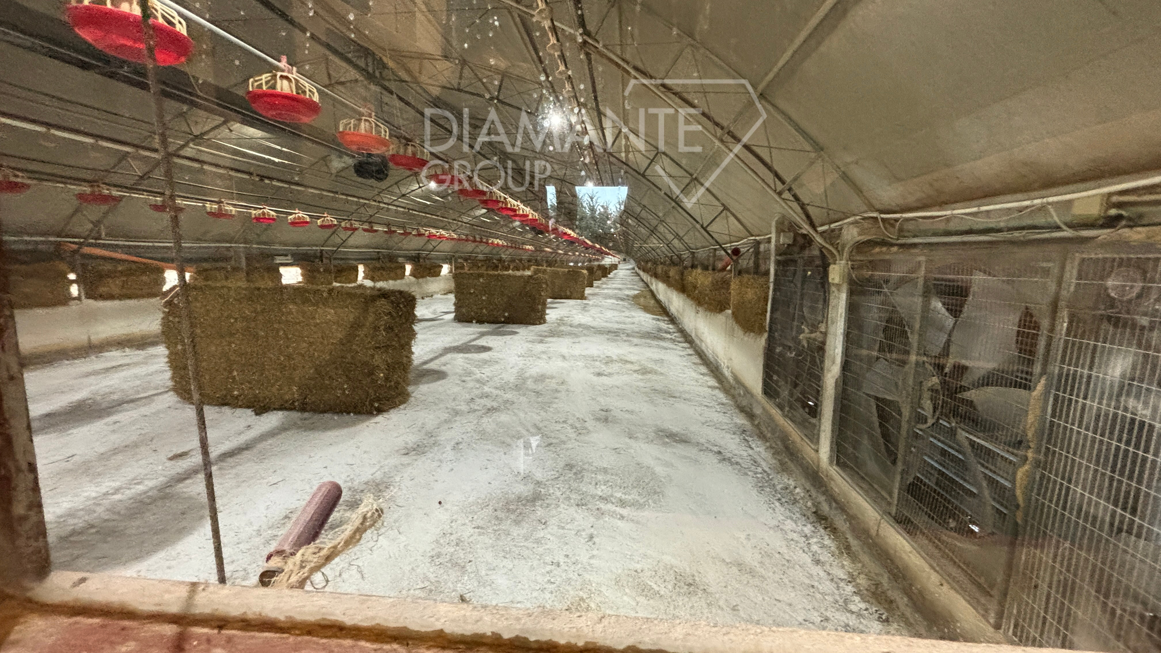 /api/file/public/259971/28904