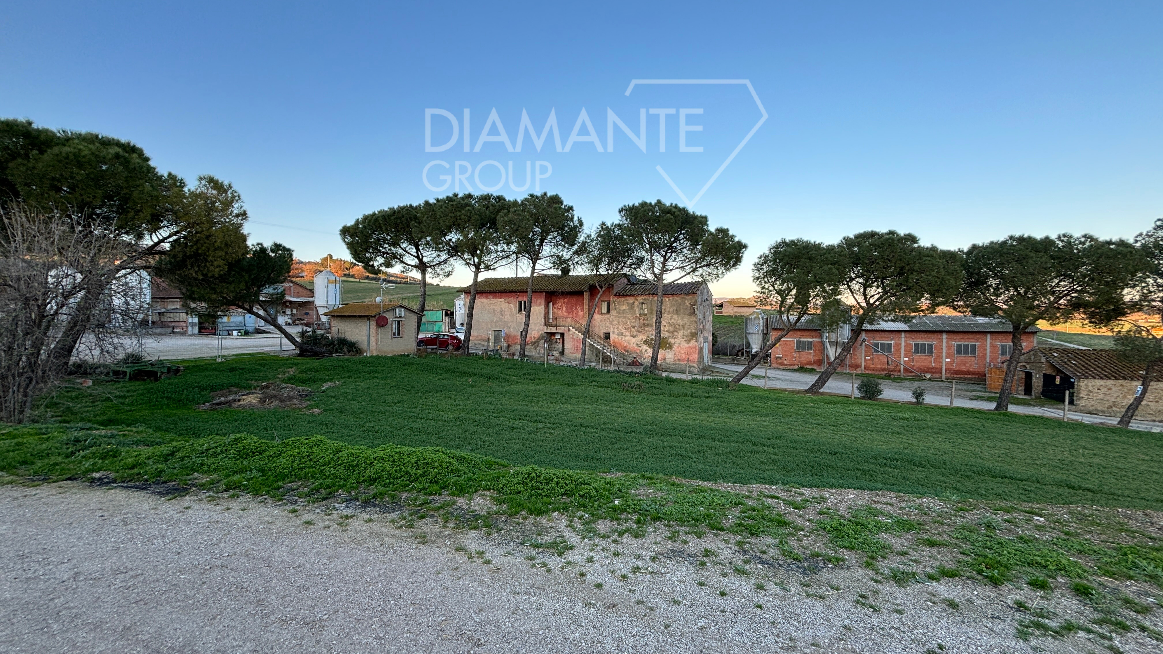 /api/file/public/259971/28905