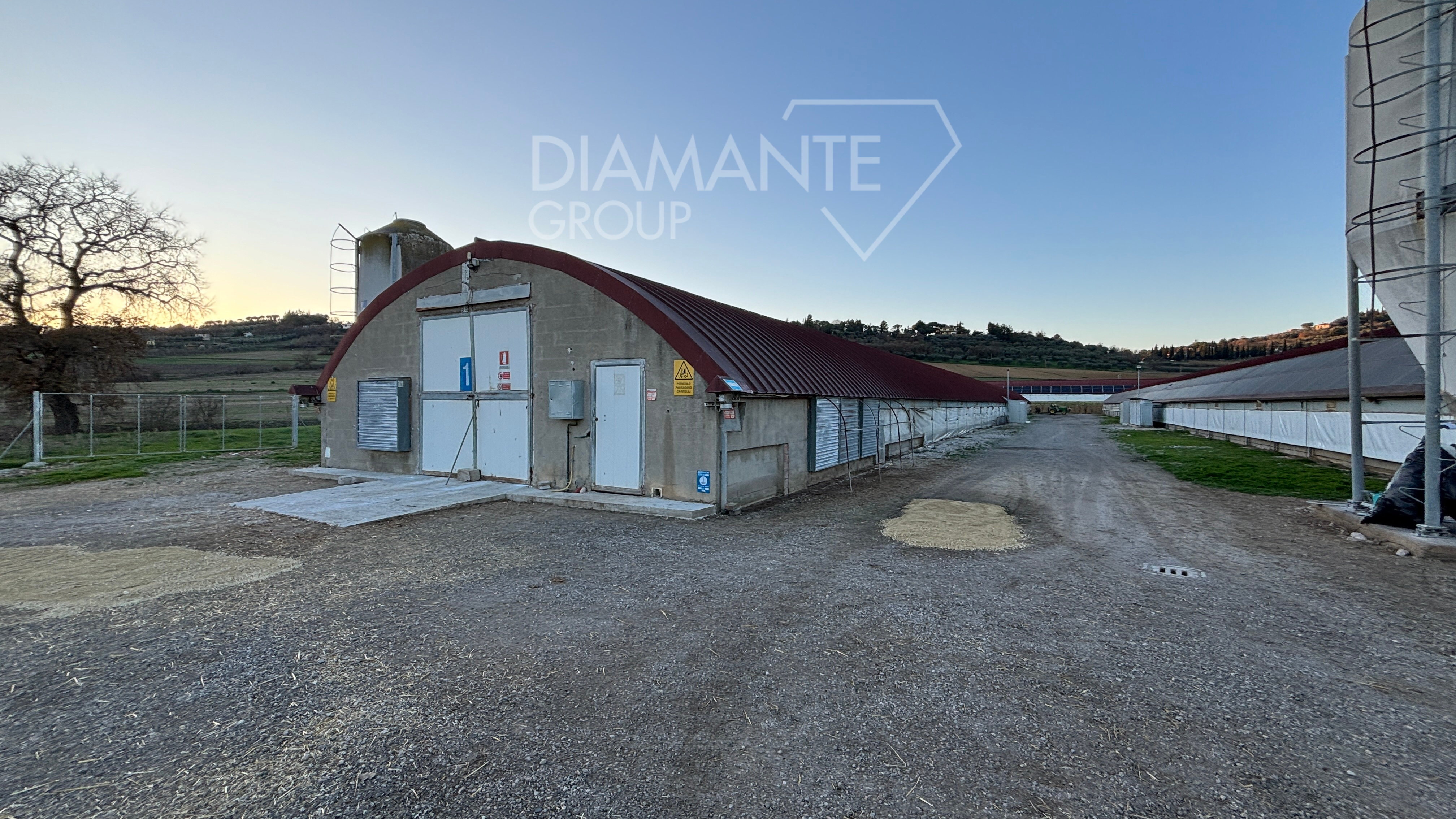 /api/file/public/259971/28906