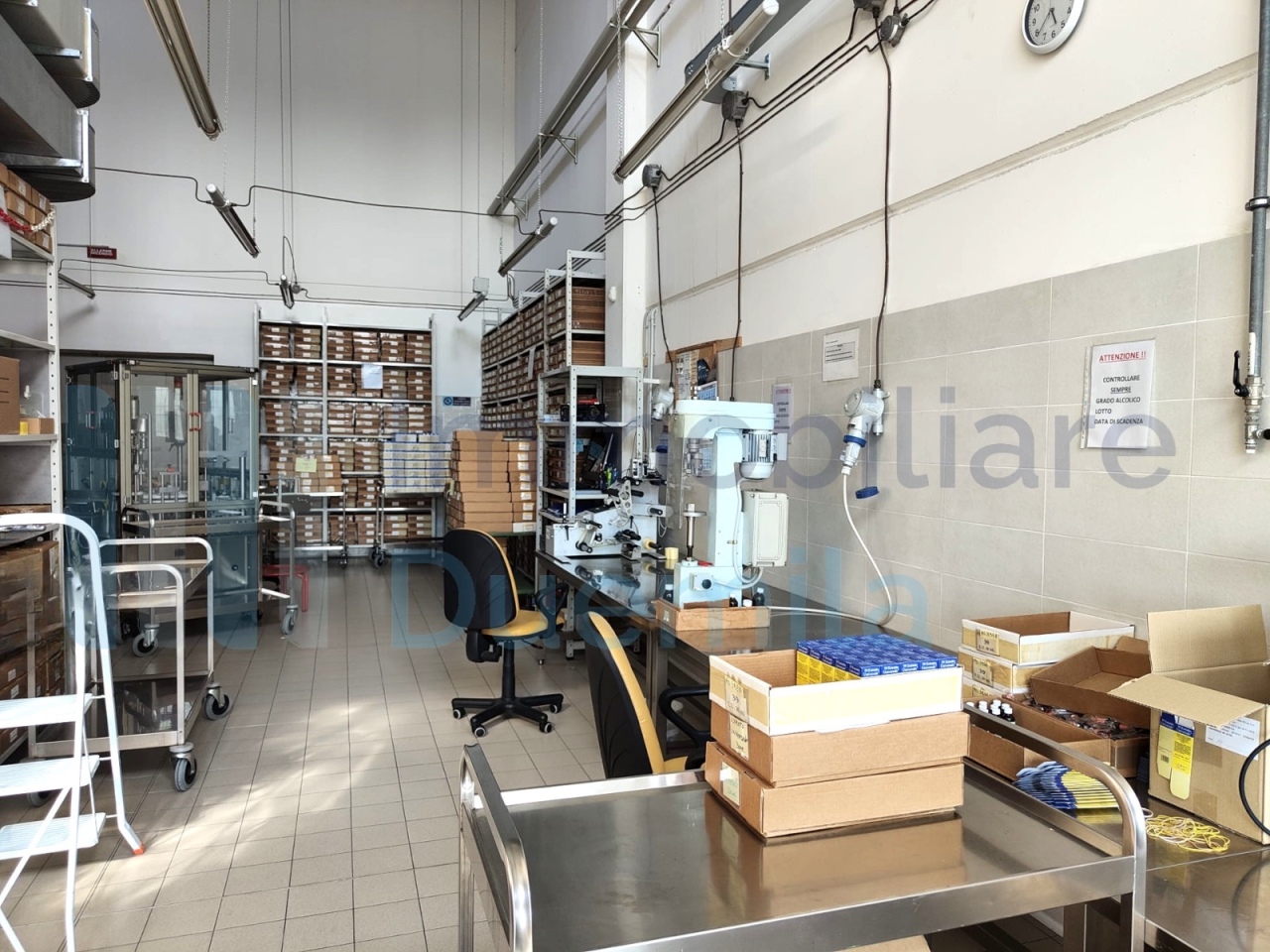 /api/file/public/260242/31358