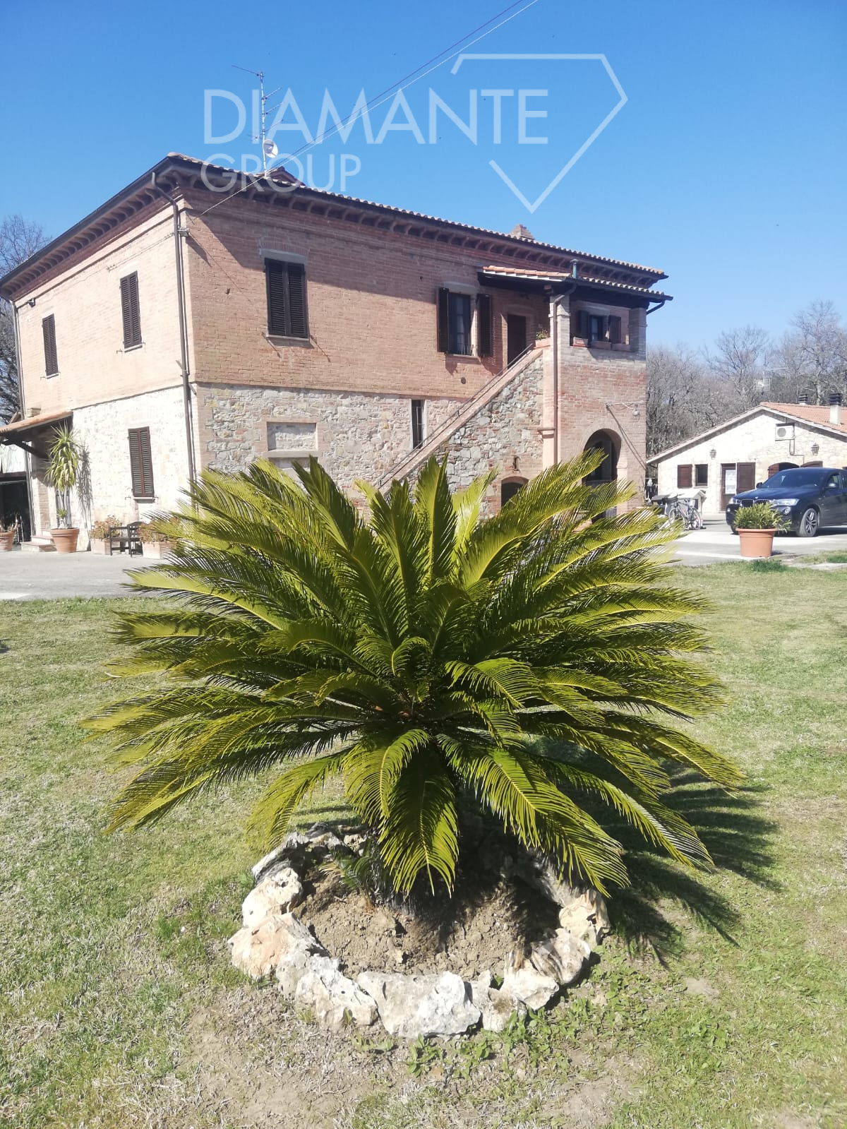 /api/file/public/261946/28599