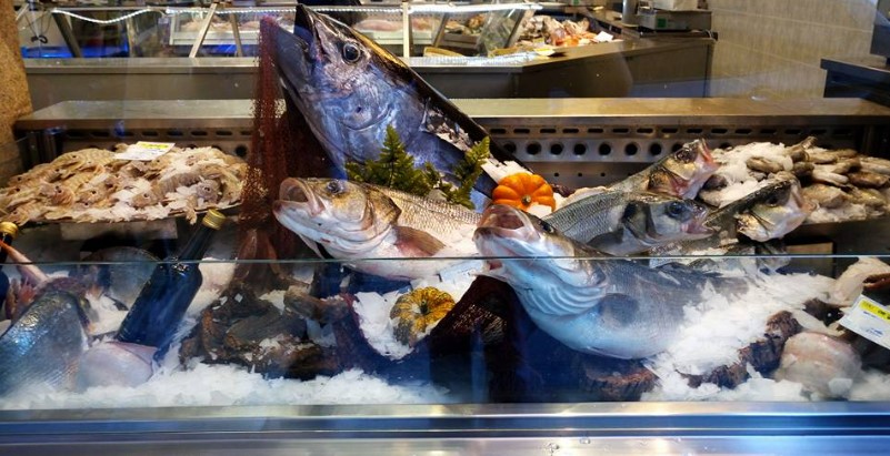 /api/file/public/261958/29291