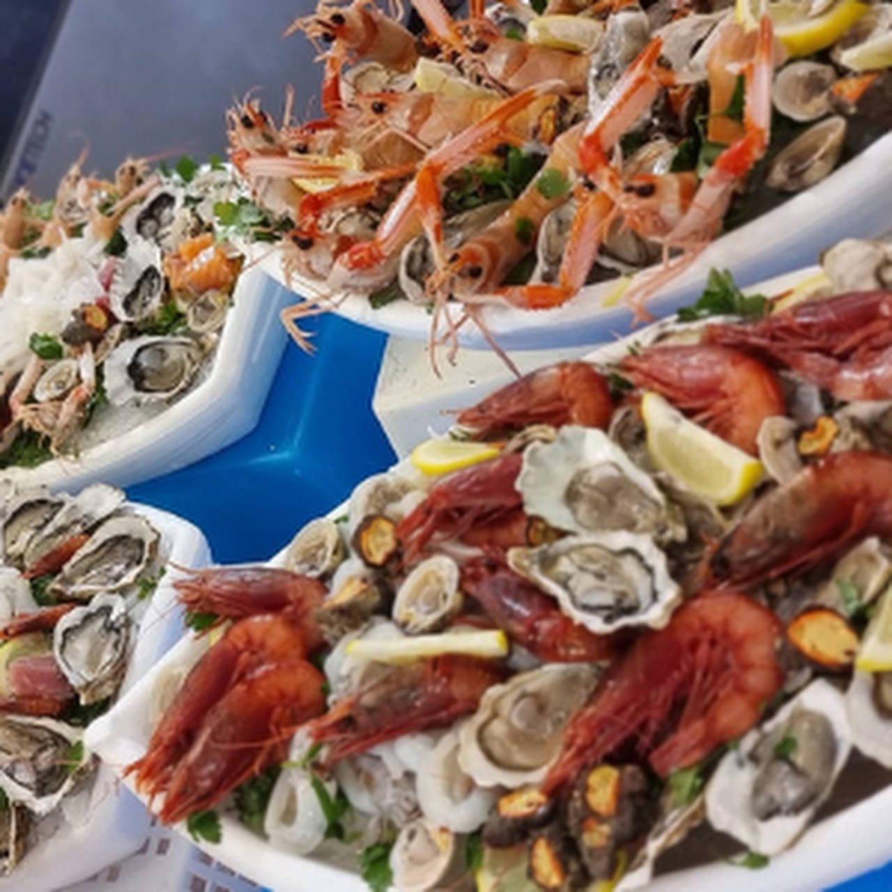 /api/file/public/261958/29302