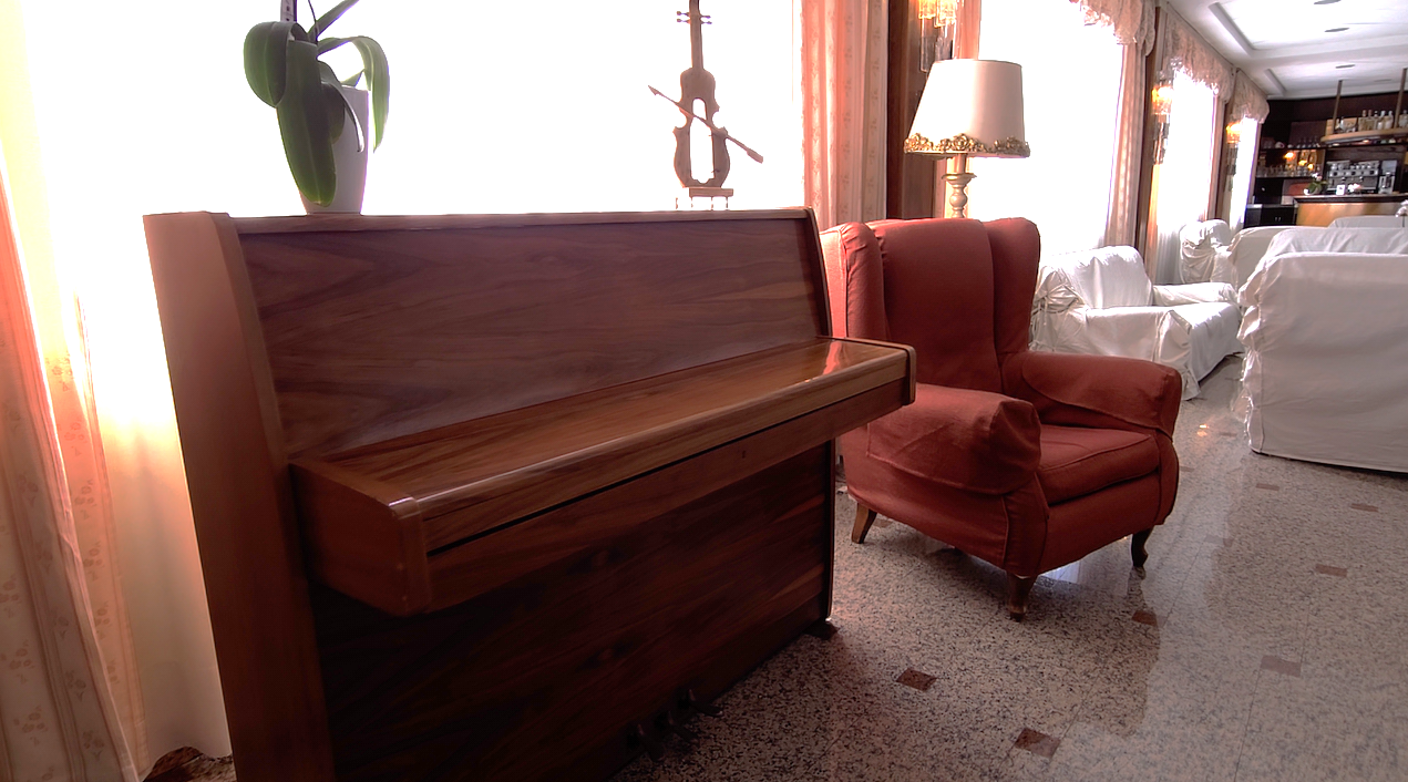 /api/file/public/262376/22861