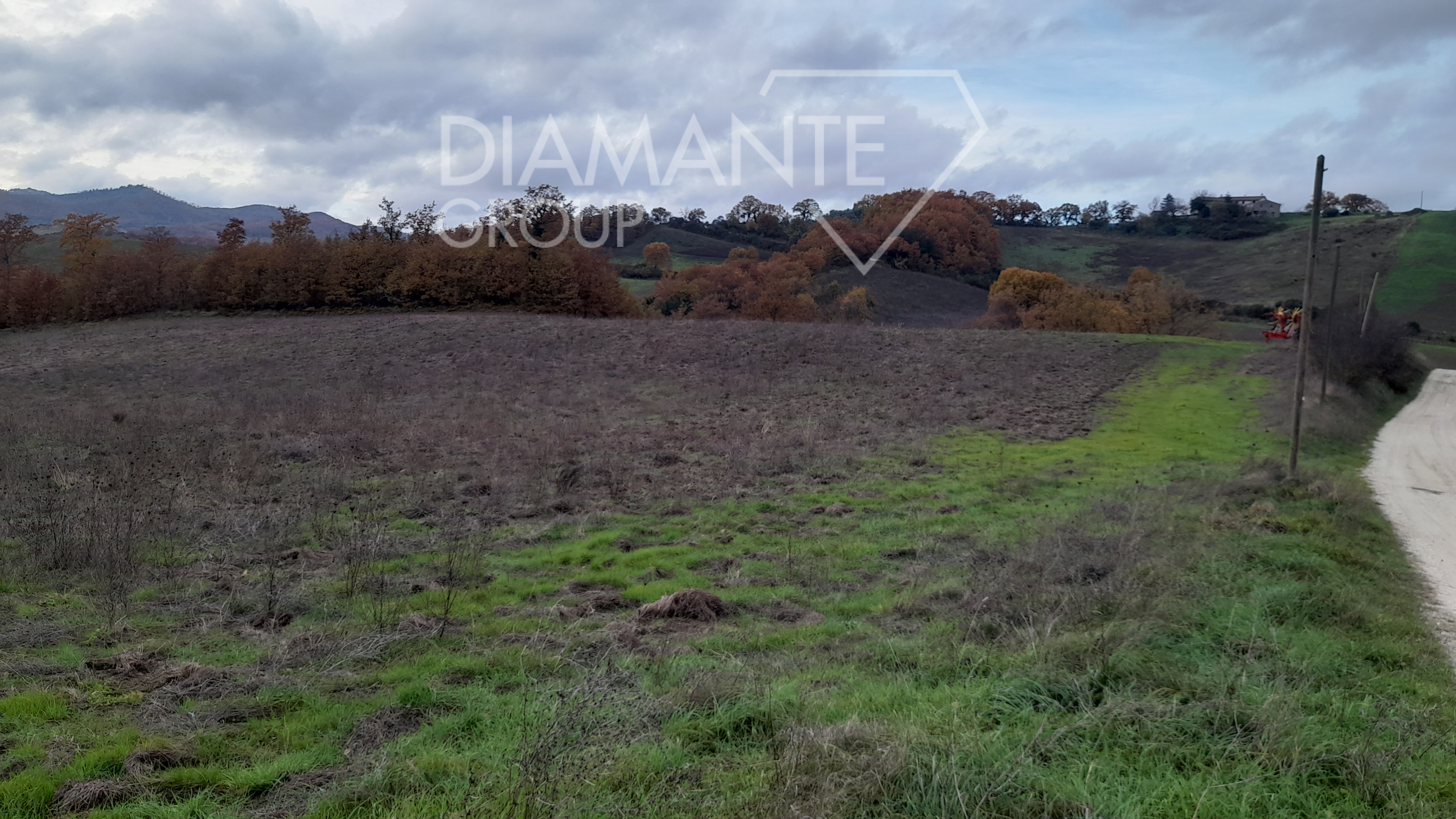 /api/file/public/262462/28485