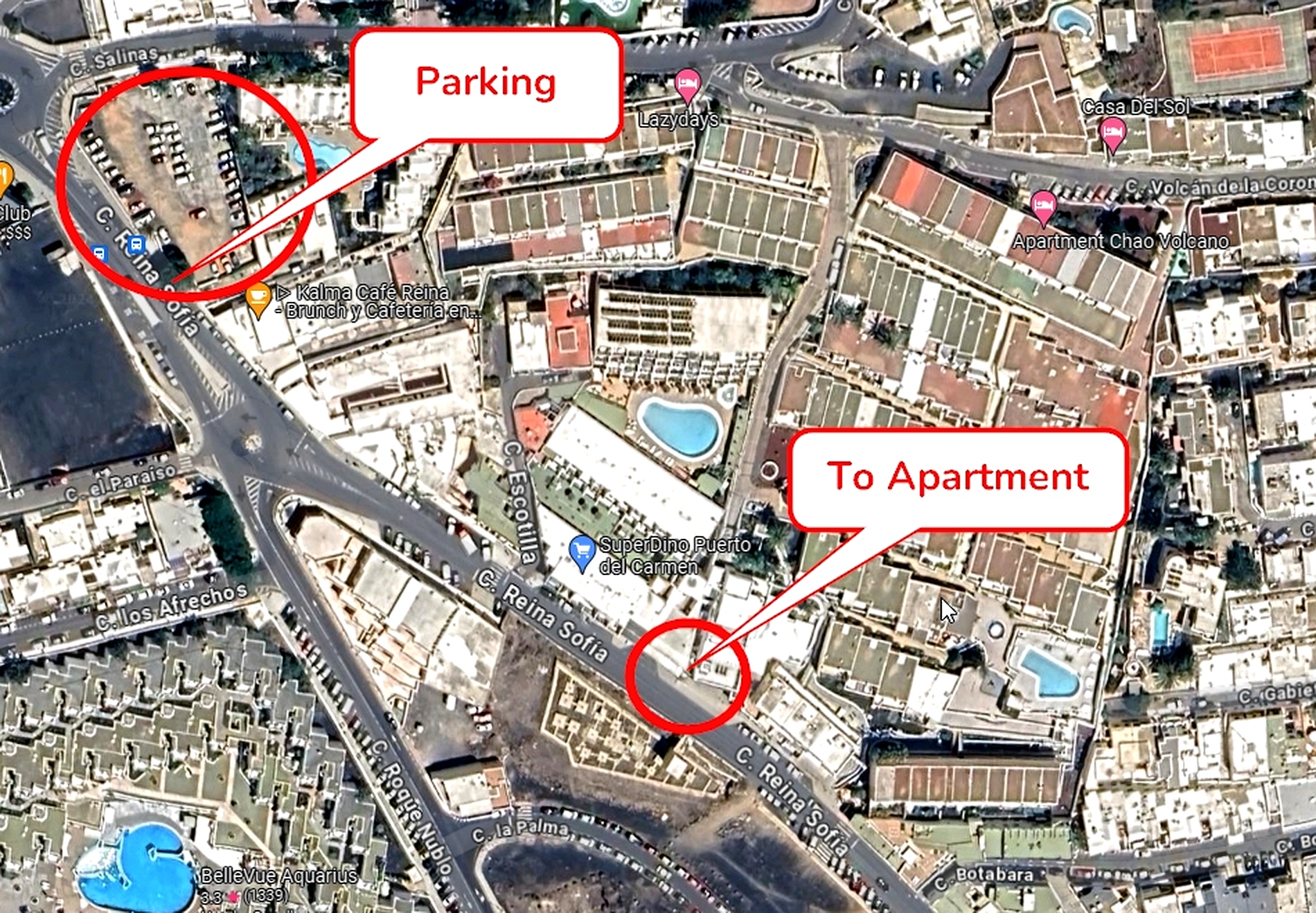 /api/file/public/262601/29802