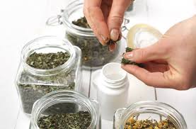 /api/file/public/263049/28060