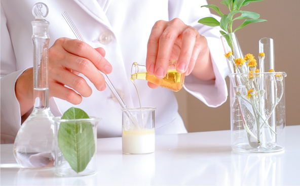 /api/file/public/263049/28061