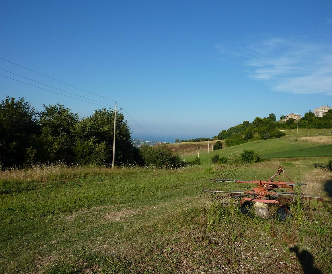 /api/file/public/263557/22772