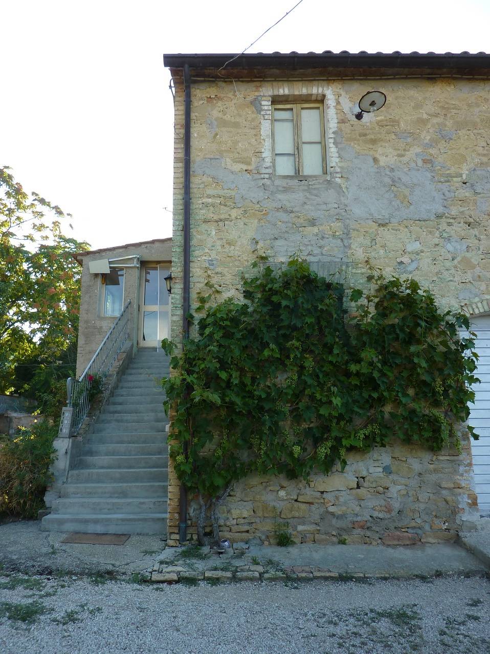 /api/file/public/263557/22773