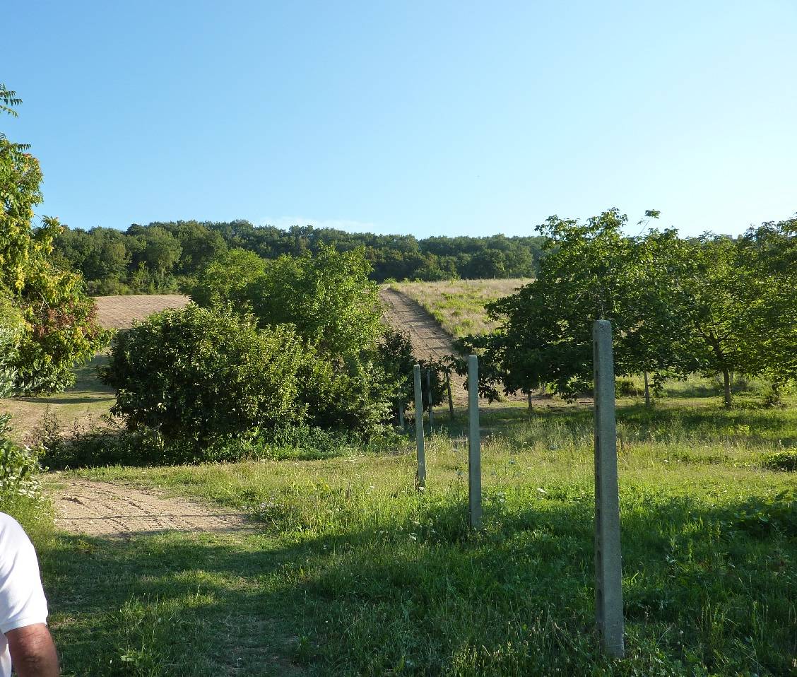 /api/file/public/263557/22775