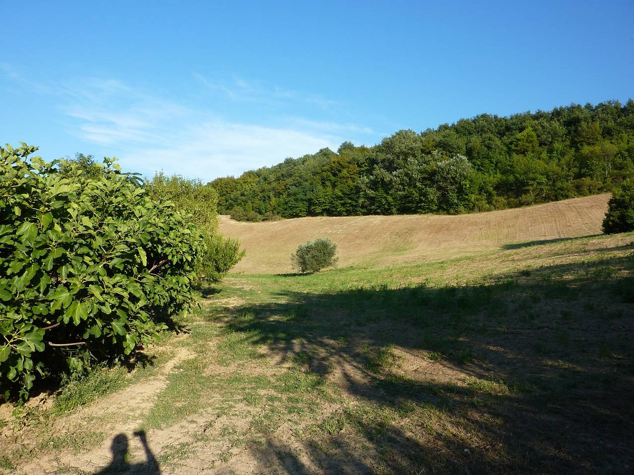 /api/file/public/263557/22777