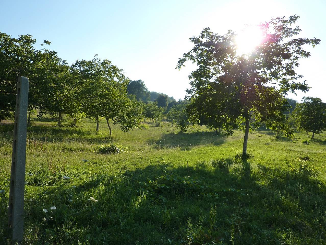 /api/file/public/263557/22778