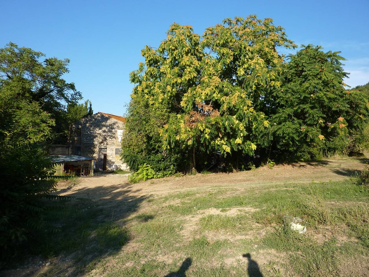 /api/file/public/263557/22781