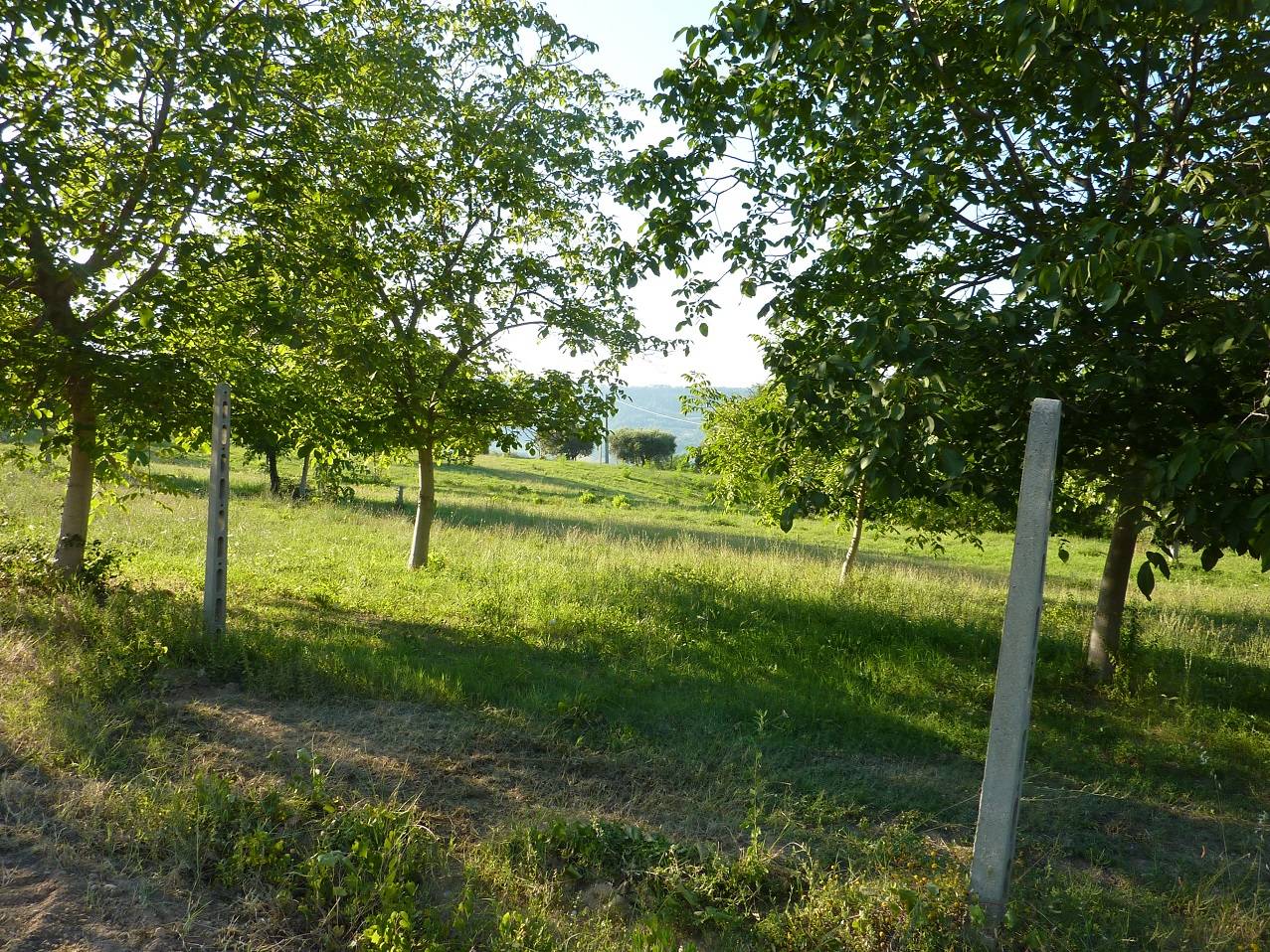 /api/file/public/263557/22782