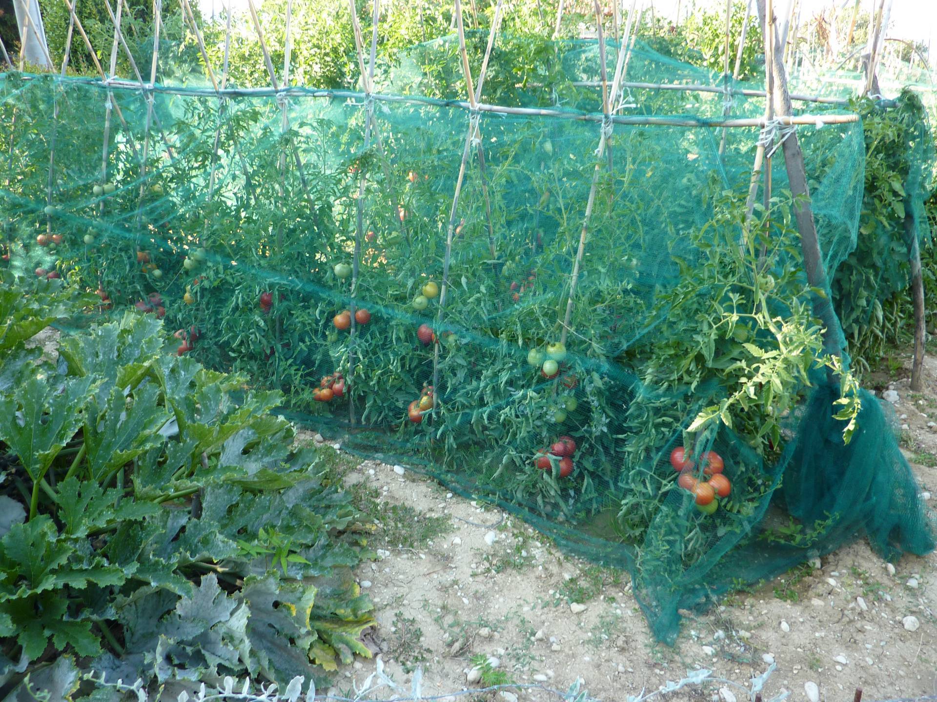 /api/file/public/263557/22783