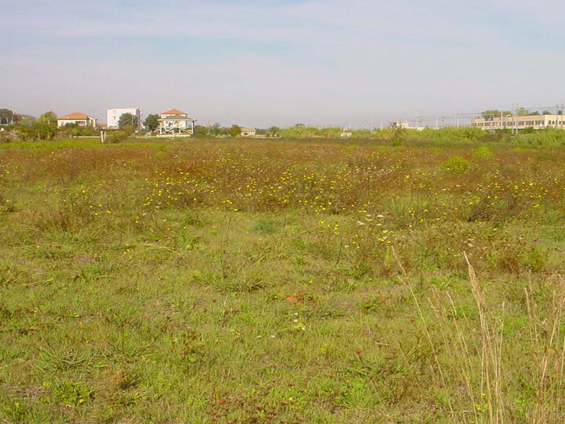 /api/file/public/263558/22786