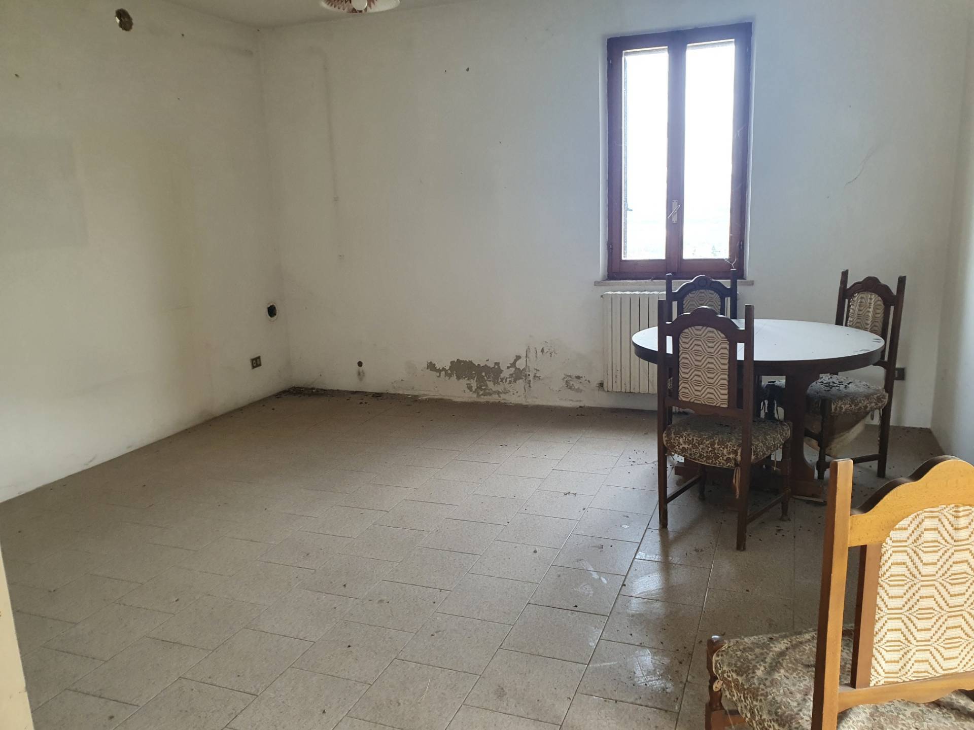 /api/file/public/263560/22798