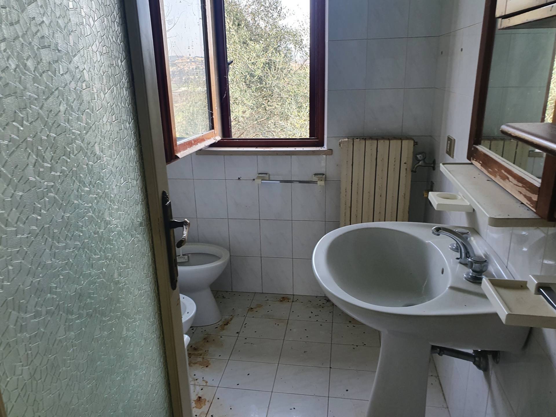 /api/file/public/263560/22800