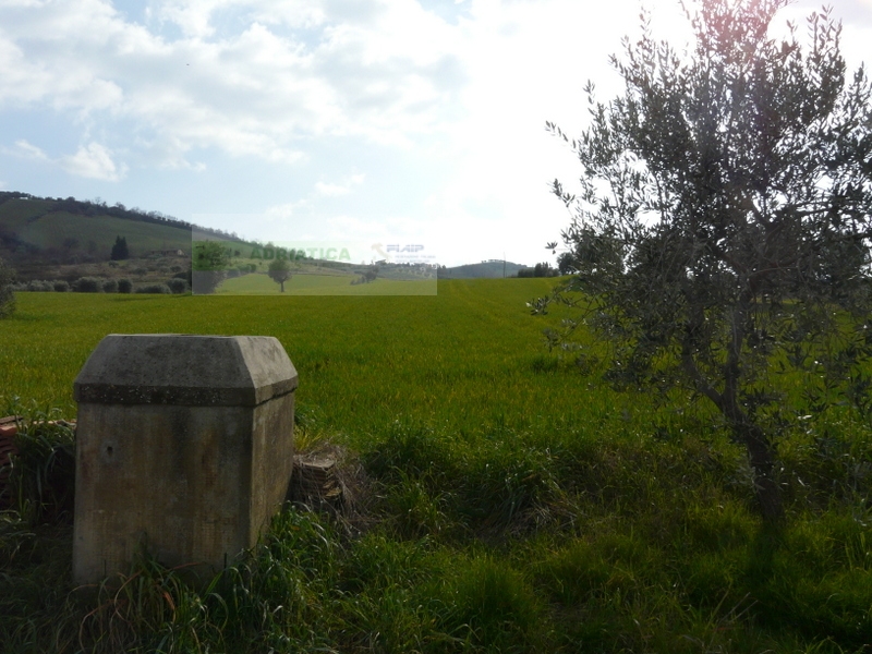 /api/file/public/263560/22801