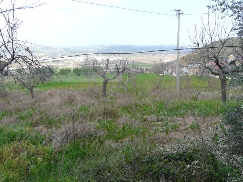 /api/file/public/263560/22803