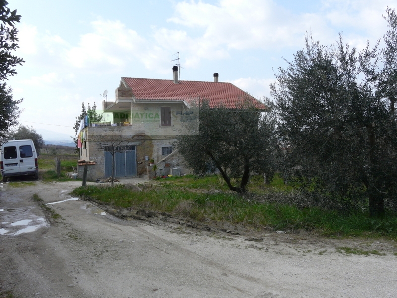 /api/file/public/263560/22806