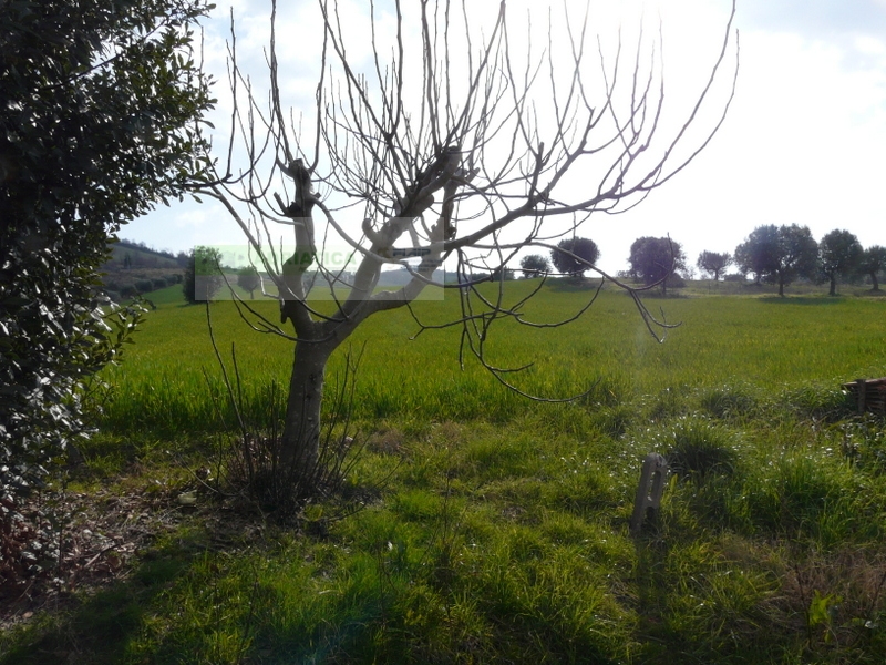 /api/file/public/263560/22809