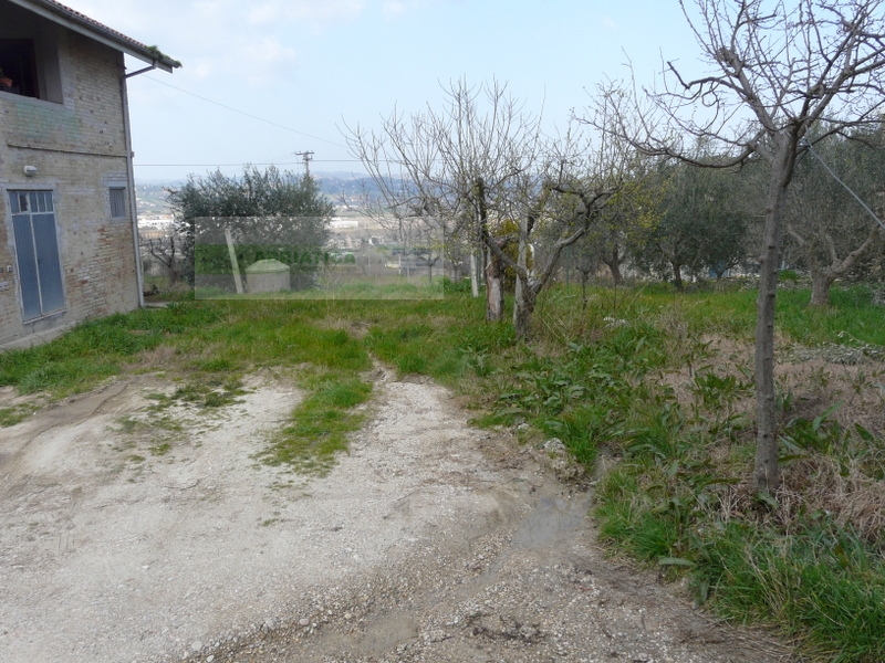 /api/file/public/263560/22810