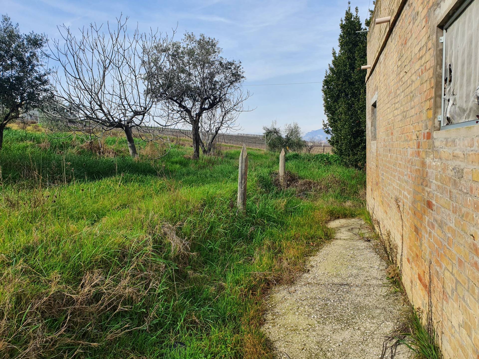 /api/file/public/263560/22817