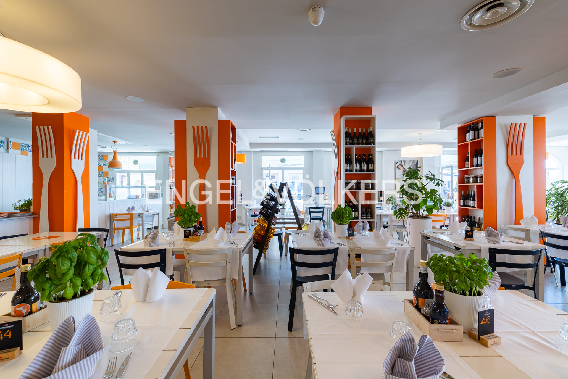 /api/file/public/263634/23572