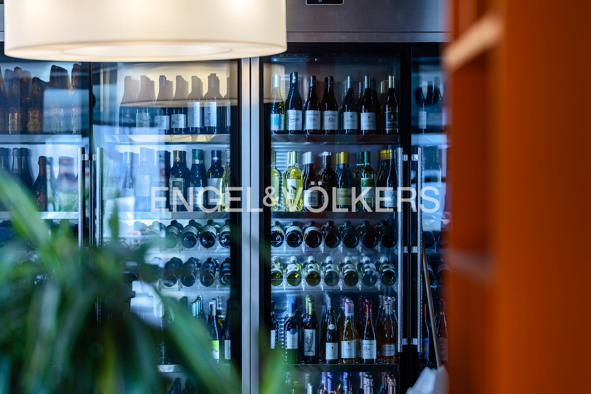 /api/file/public/263634/23580