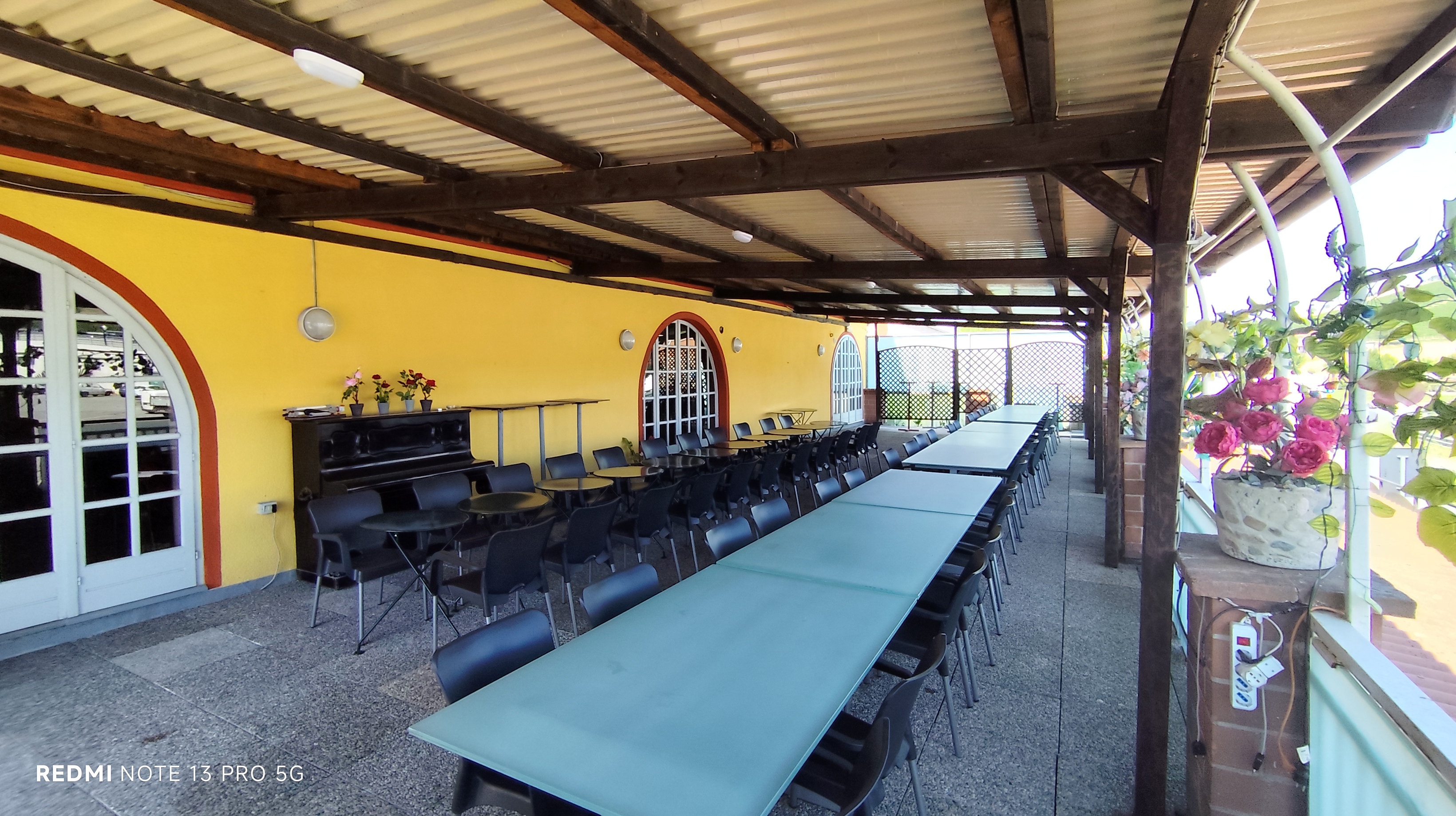 /api/file/public/263879/23772