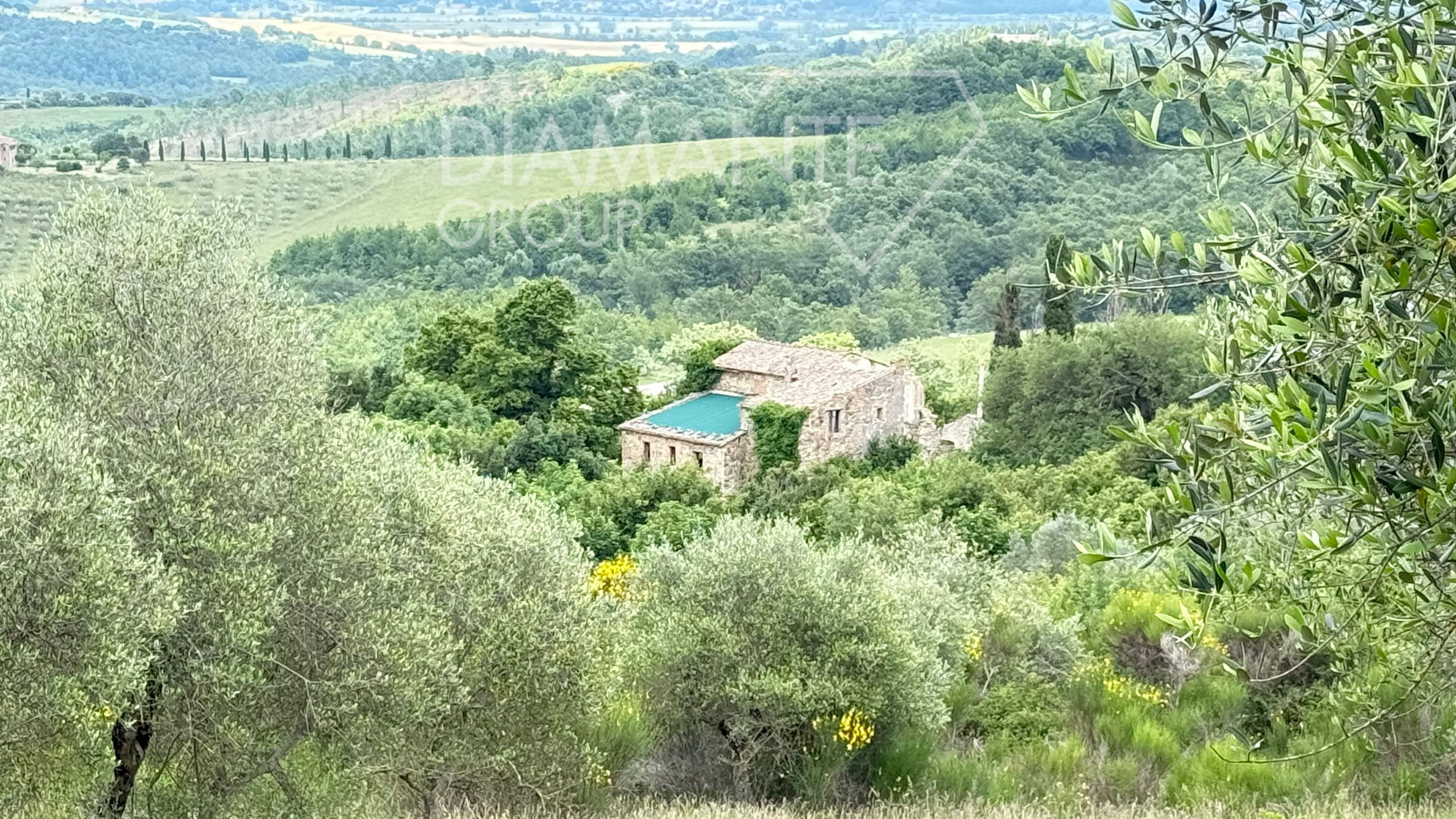 /api/file/public/264151/28523