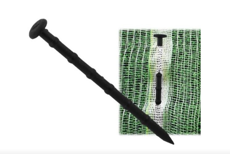 /api/file/public/264153/28231