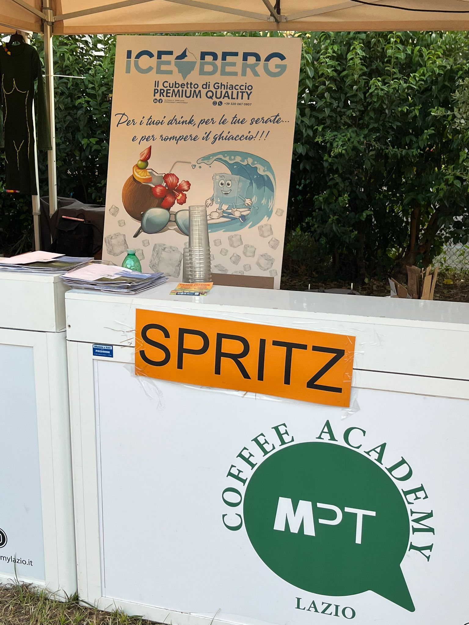 /api/file/public/264156/31556