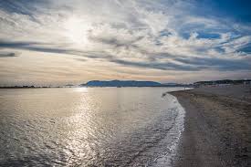 /api/file/public/264215/24949