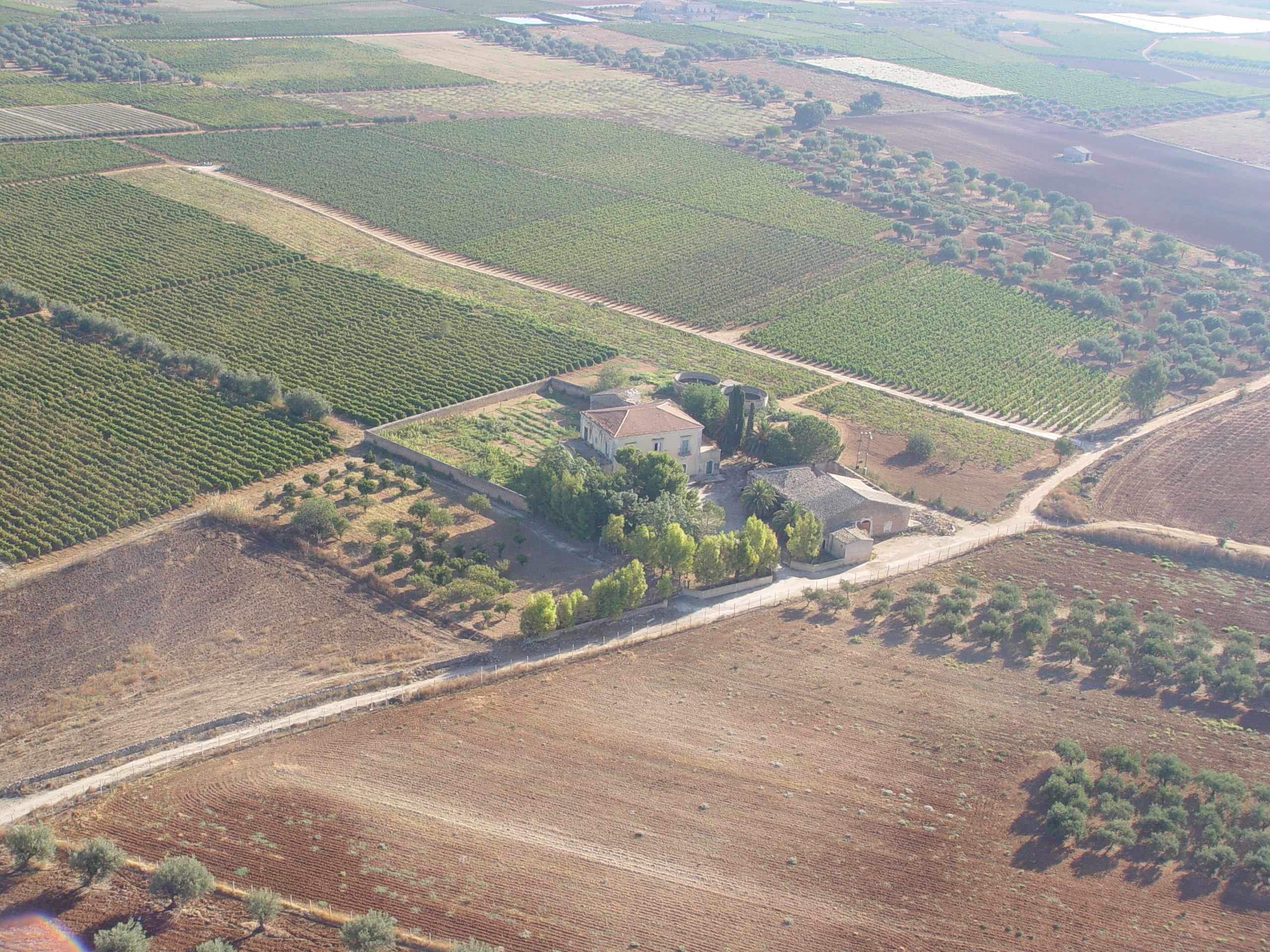 /api/file/public/264247/25018