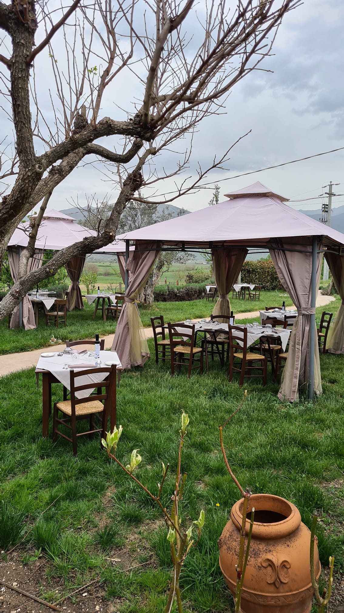 /api/file/public/264294/25261