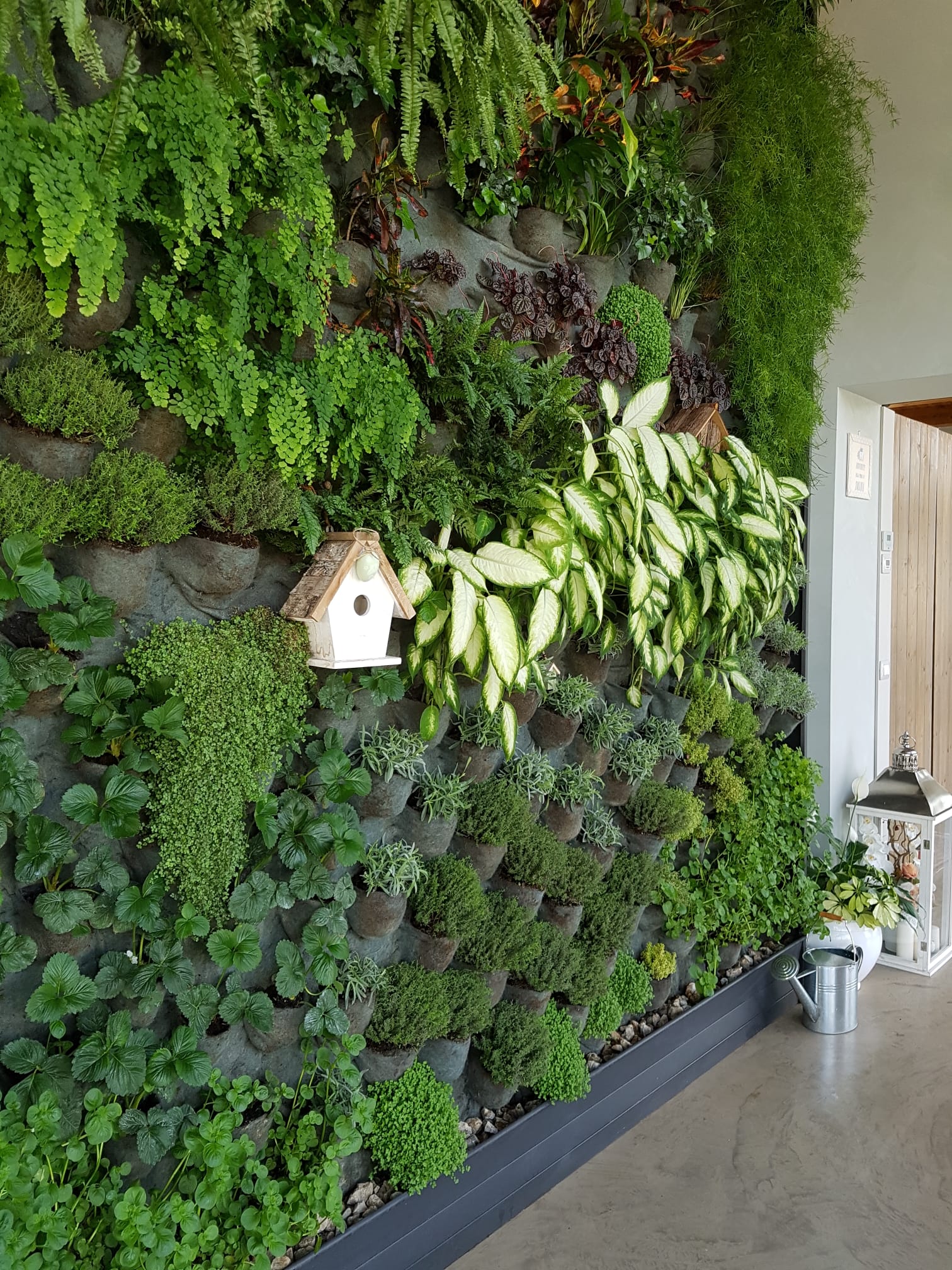 /api/file/public/264294/25263