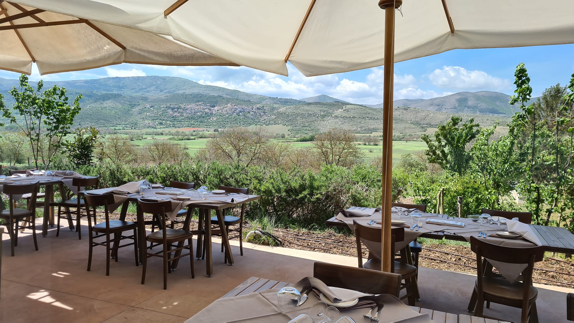 /api/file/public/264294/25264