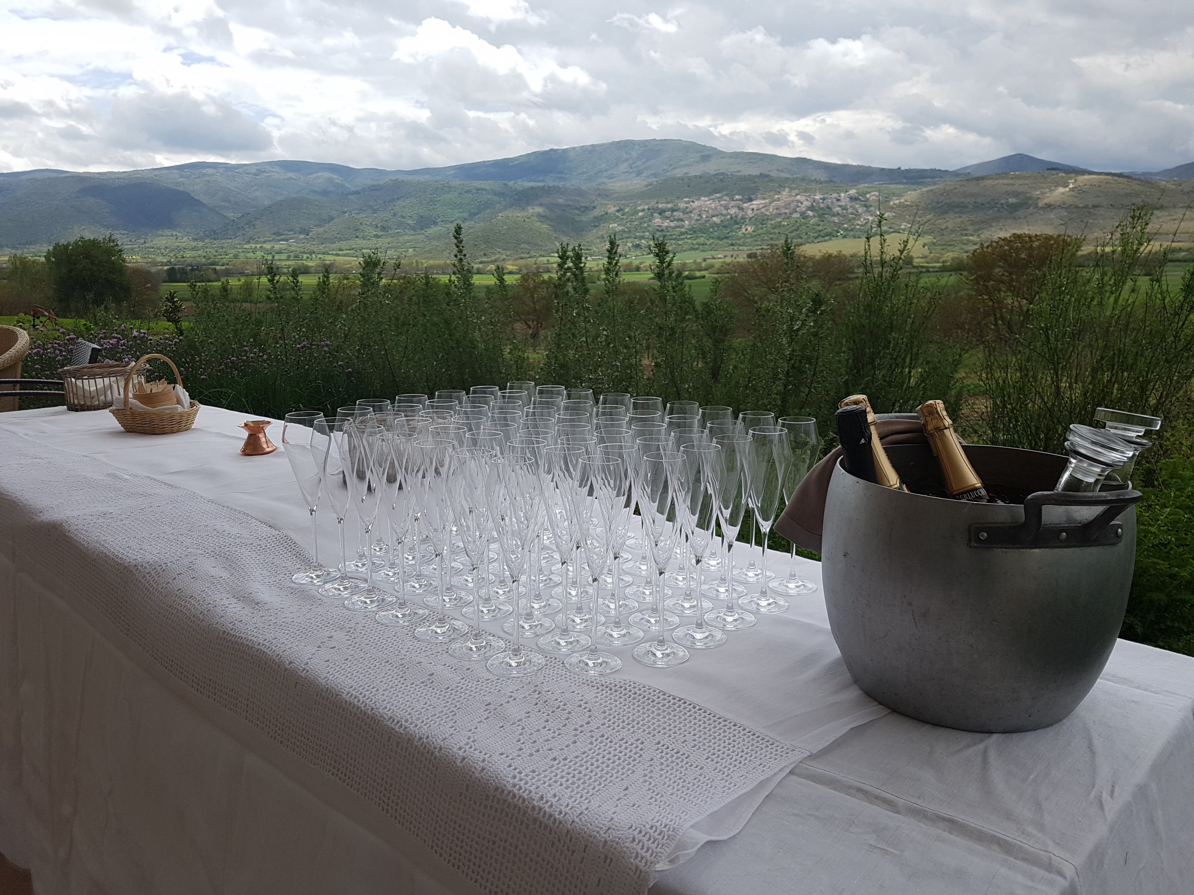 /api/file/public/264294/25313