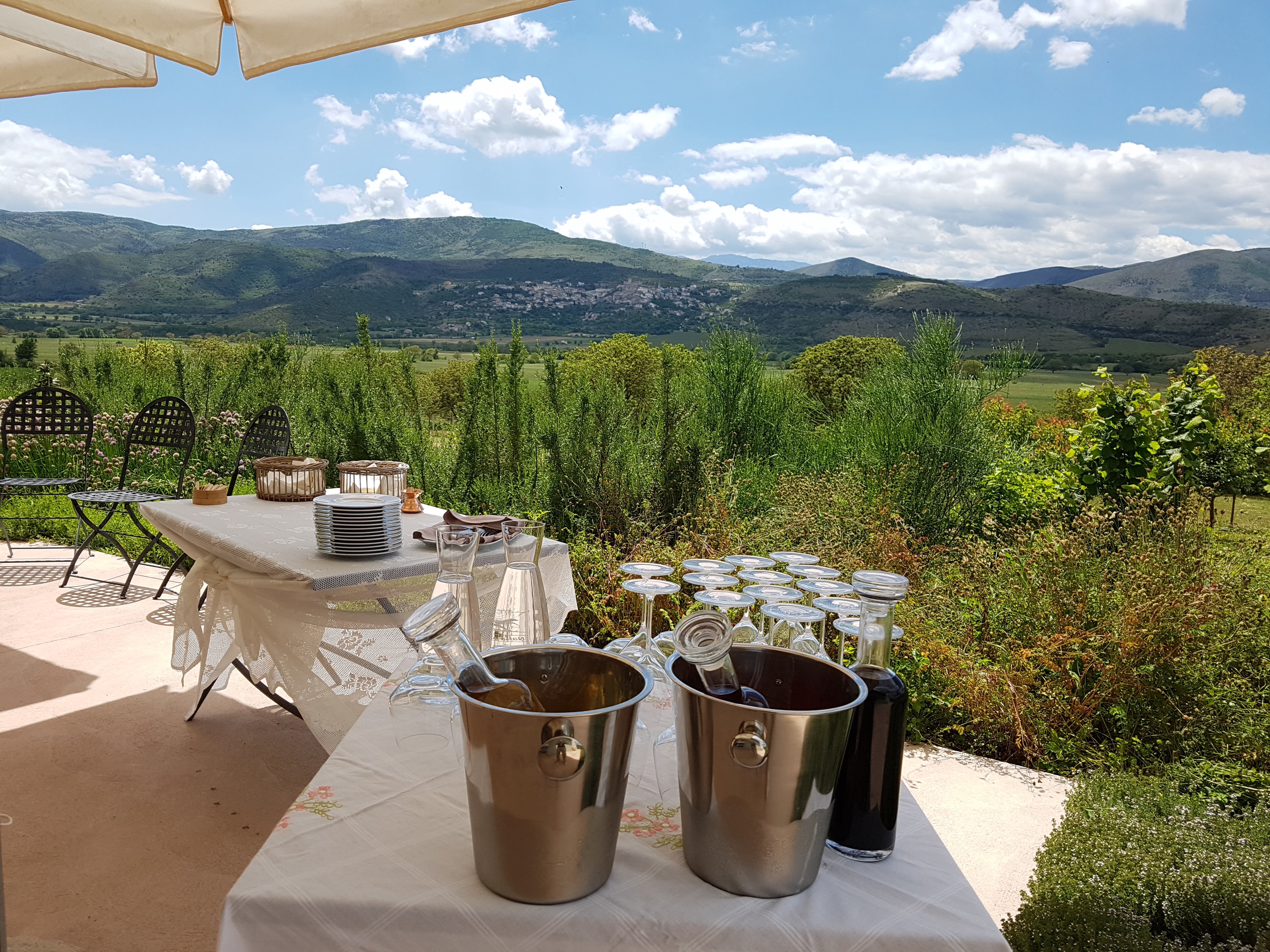 /api/file/public/264294/25317