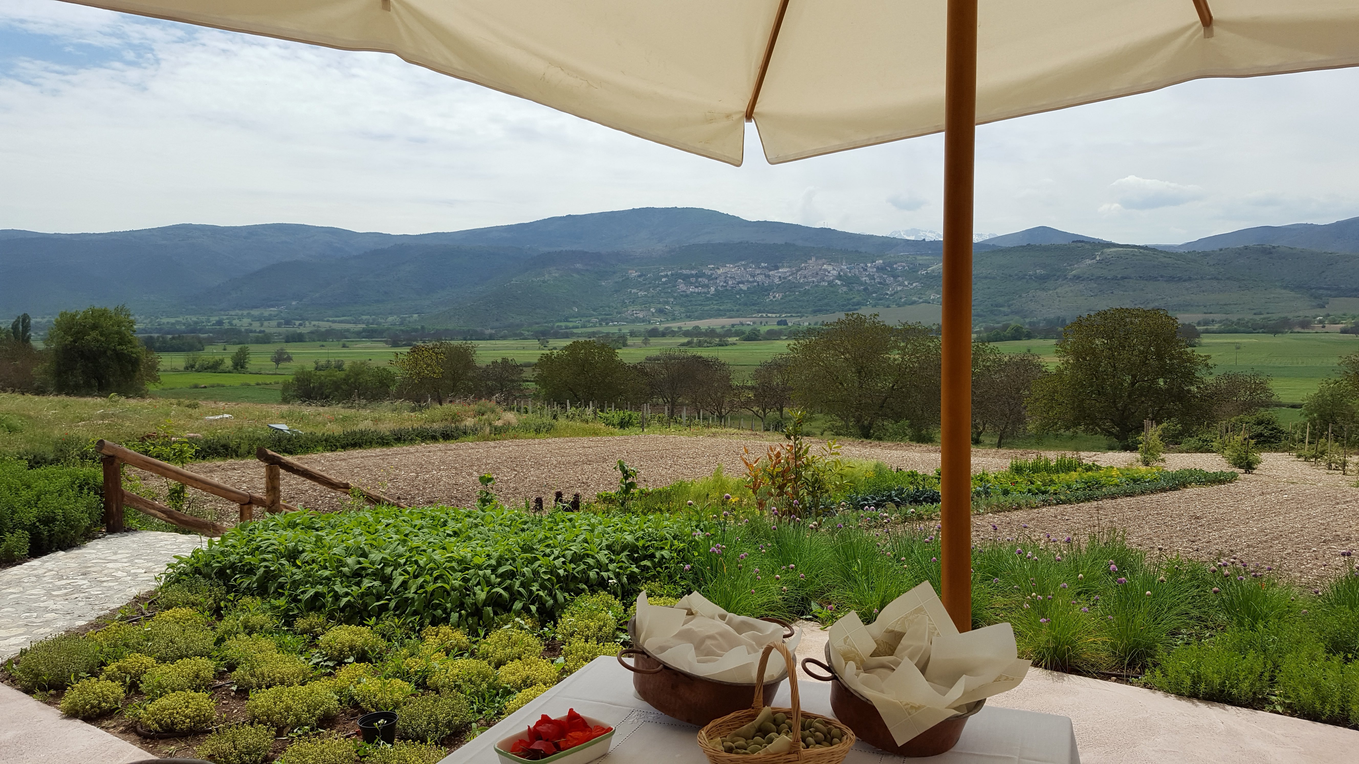 /api/file/public/264294/25319