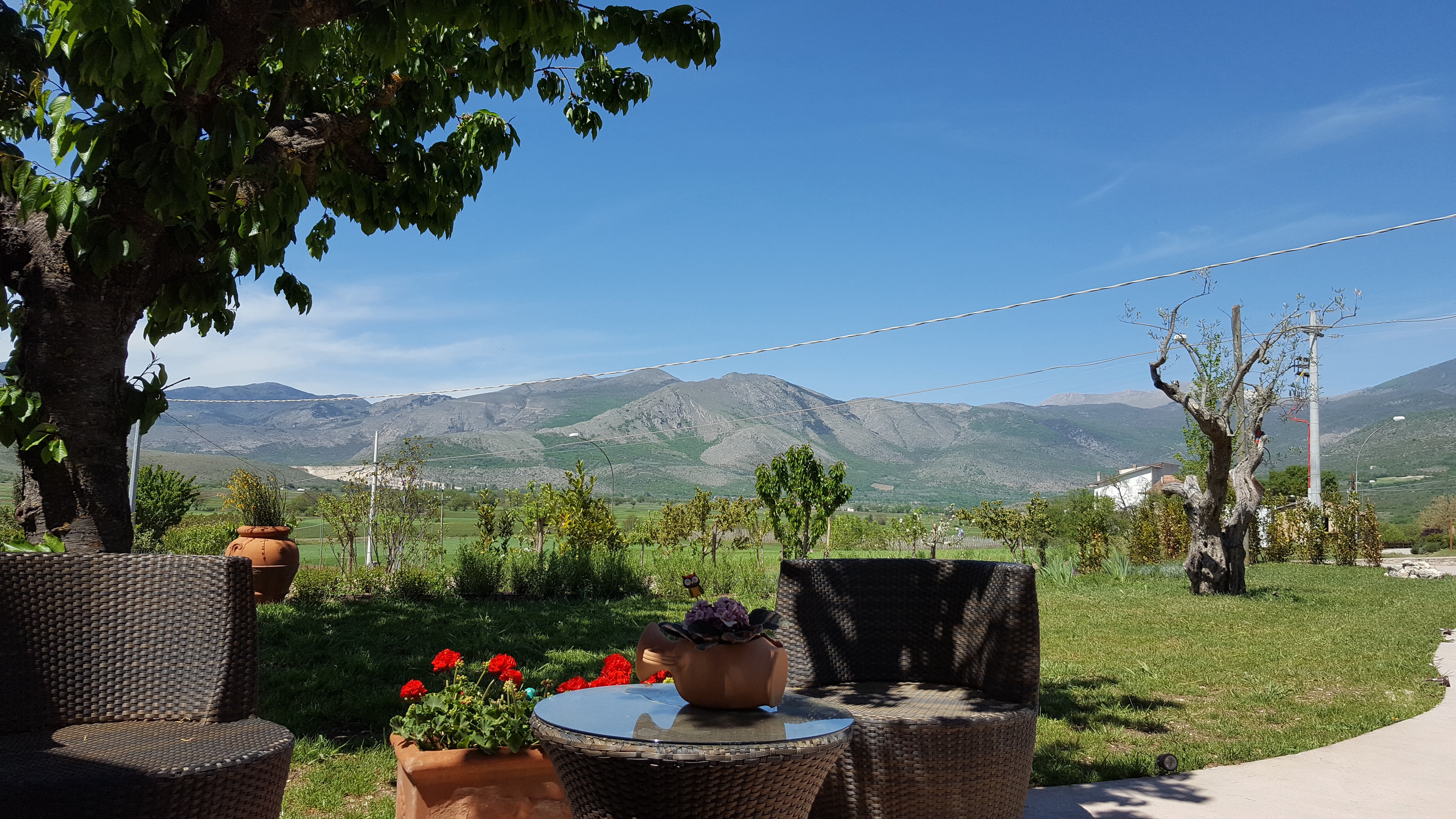 /api/file/public/264294/25321