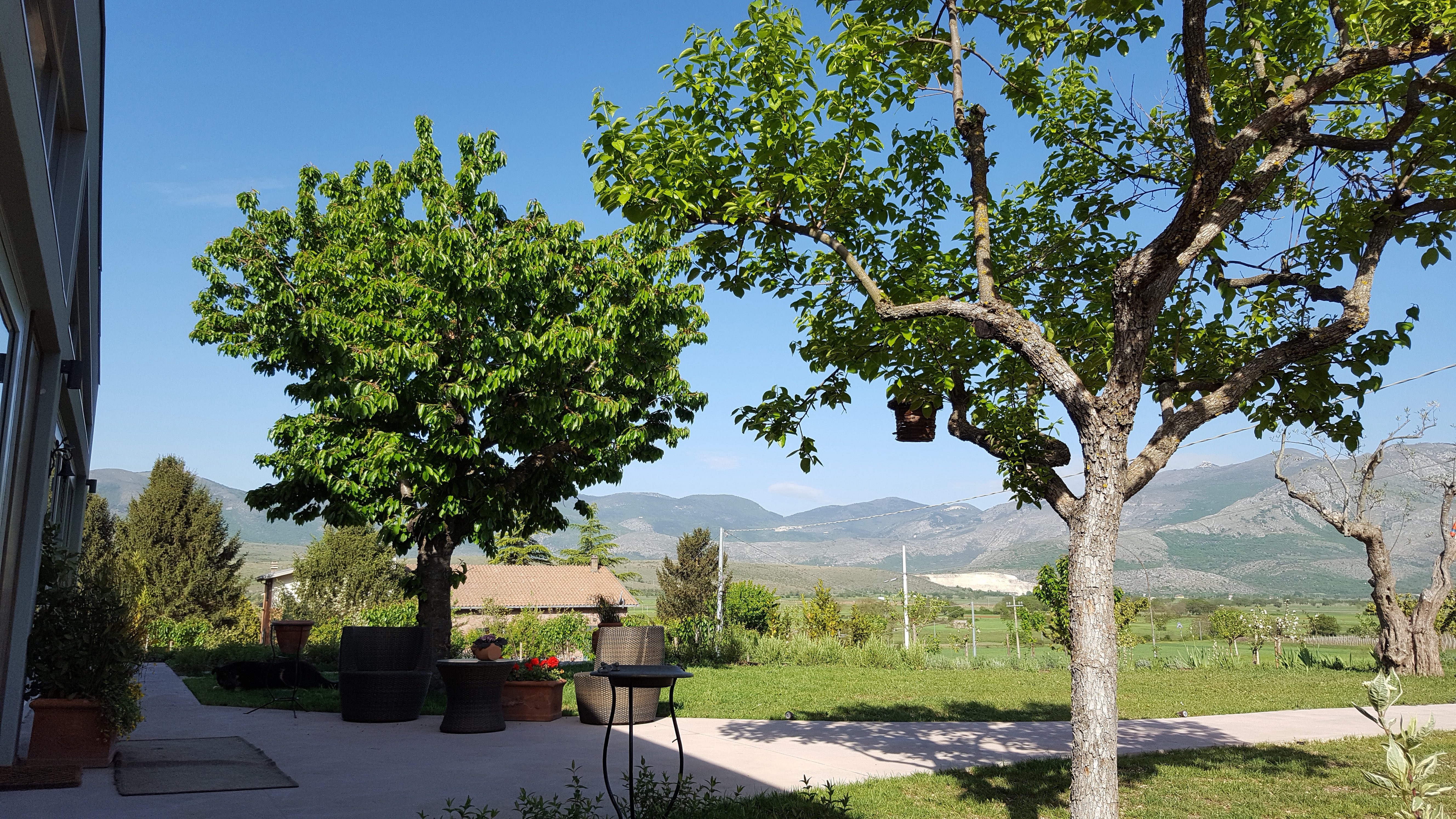 /api/file/public/264294/25322