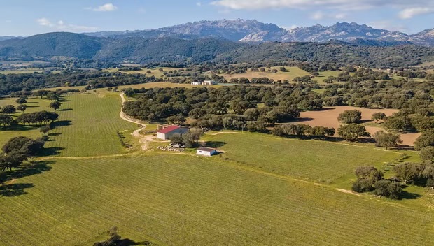 /api/file/public/264308/25358