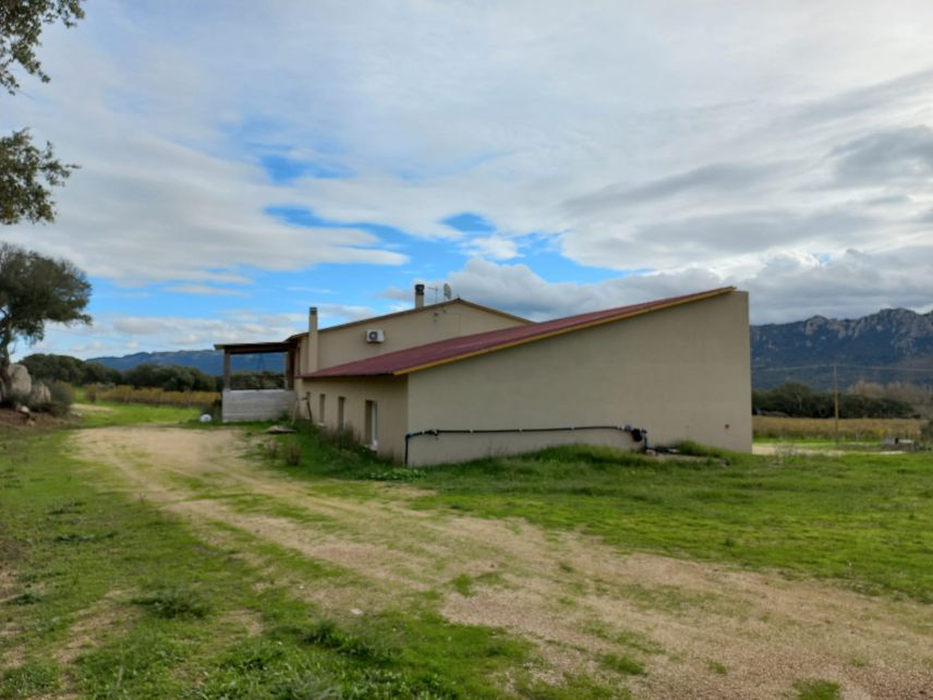 /api/file/public/264308/25360